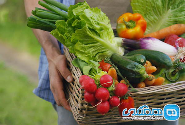 در خام خوری این 10 نوع سبزی احتیاط کنید در خام خوری این 10 نوع سبزی احتیاط کنید