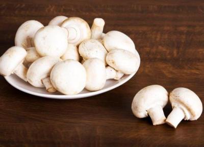 فواید بی شمار قارچ