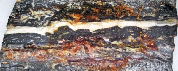 دانشمندان شواهد 3.48 میلیارد ساله زندگی را در صخره های مرموز استرالیای غربی یافته اند